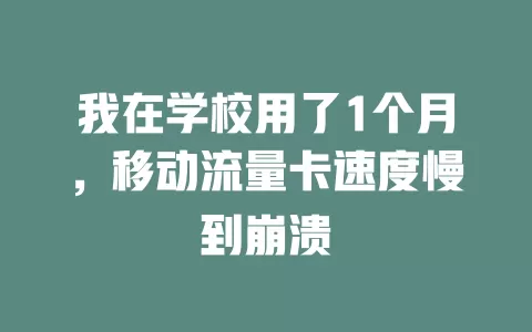 我在学校用了1个月，移动流量卡速度慢到崩溃
