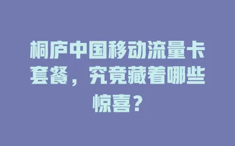 桐庐中国移动流量卡套餐，究竟藏着哪些惊喜？