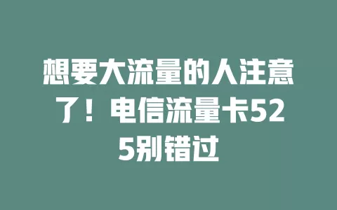 想要大流量的人注意了！电信流量卡525别错过