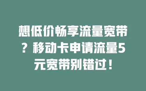 想低价畅享流量宽带？移动卡申请流量5元宽带别错过！