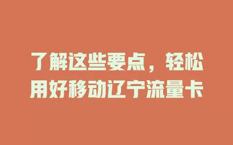 了解这些要点，轻松用好移动辽宁流量卡