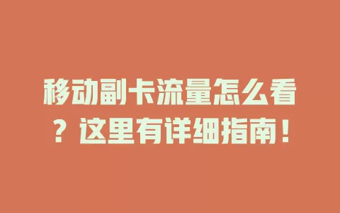 移动副卡流量怎么看？这里有详细指南！