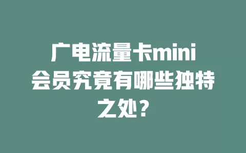 广电流量卡mini会员究竟有哪些独特之处？
