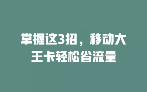 掌握这3招，移动大王卡轻松省流量