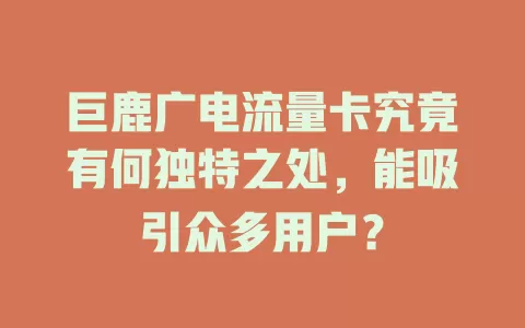 巨鹿广电流量卡究竟有何独特之处，能吸引众多用户？