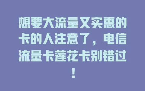 想要大流量又实惠的卡的人注意了，电信流量卡莲花卡别错过！