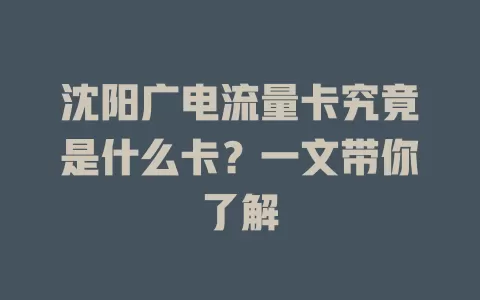 沈阳广电流量卡究竟是什么卡？一文带你了解