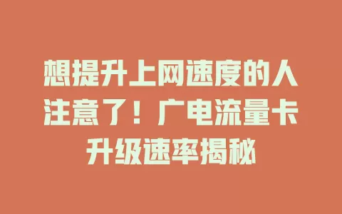 想提升上网速度的人注意了！广电流量卡升级速率揭秘