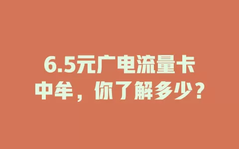 6.5元广电流量卡中牟，你了解多少？