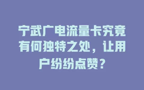 宁武广电流量卡究竟有何独特之处，让用户纷纷点赞？