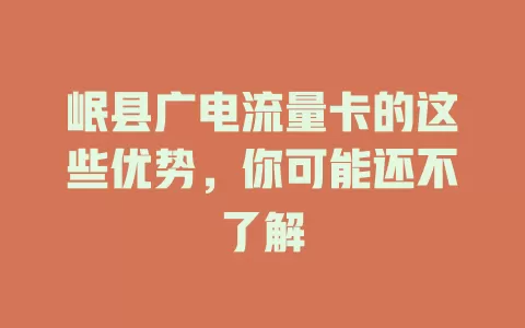 岷县广电流量卡的这些优势，你可能还不了解