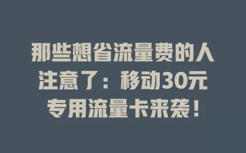 那些想省流量费的人注意了：移动30元专用流量卡来袭！