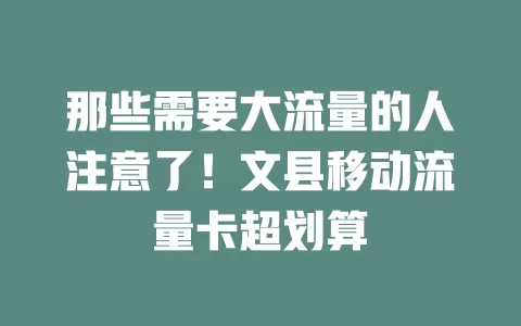 那些需要大流量的人注意了！文县移动流量卡超划算