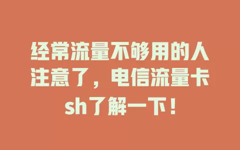 经常流量不够用的人注意了，电信流量卡sh了解一下！