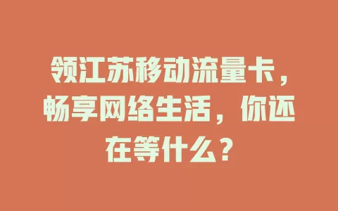 领江苏移动流量卡，畅享网络生活，你还在等什么？