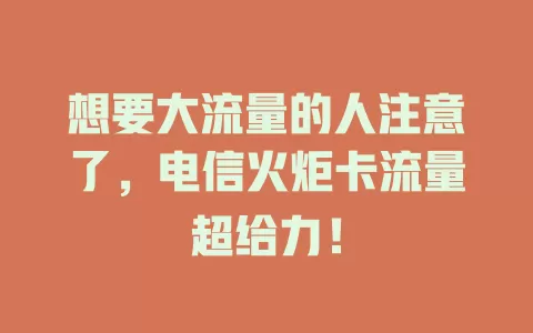 想要大流量的人注意了，电信火炬卡流量超给力！