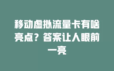 移动虚拟流量卡有啥亮点？答案让人眼前一亮
