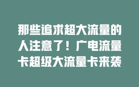 那些追求超大流量的人注意了！广电流量卡超级大流量卡来袭