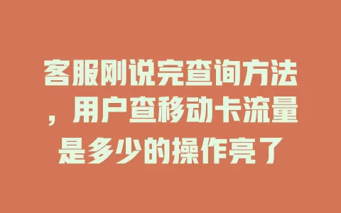 客服刚说完查询方法，用户查移动卡流量是多少的操作亮了