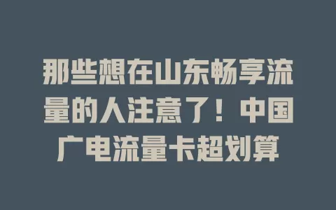 那些想在山东畅享流量的人注意了！中国广电流量卡超划算