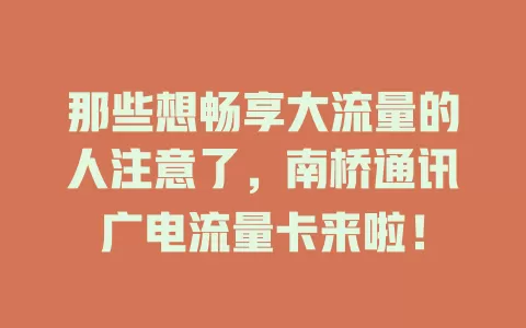 那些想畅享大流量的人注意了，南桥通讯广电流量卡来啦！