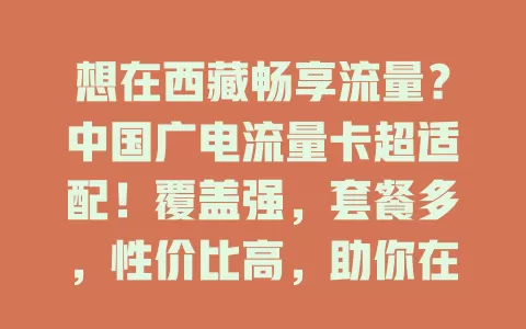 想在西藏畅享流量？中国广电流量卡超适配！覆盖强，套餐多，性价比高，助你在西藏便利生活、工作、娱乐