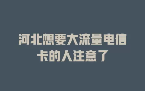 河北想要大流量电信卡的人注意了