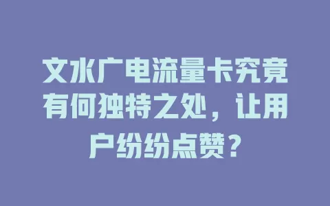 文水广电流量卡究竟有何独特之处，让用户纷纷点赞？