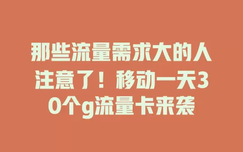 那些流量需求大的人注意了！移动一天30个g流量卡来袭