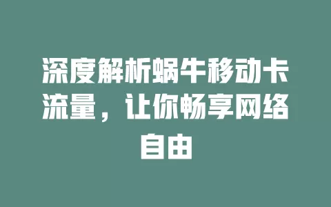 深度解析蜗牛移动卡流量，让你畅享网络自由