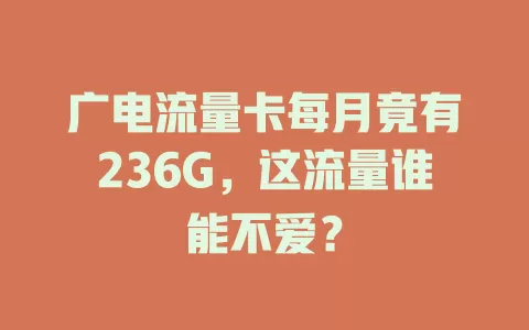 广电流量卡每月竟有236G，这流量谁能不爱？