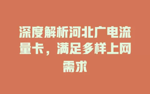 深度解析河北广电流量卡，满足多样上网需求