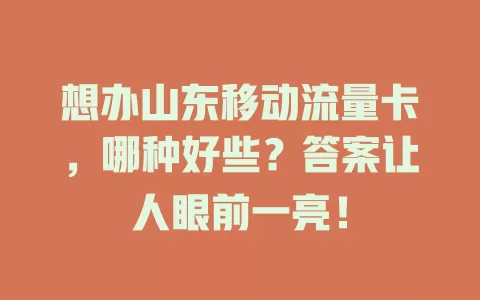 想办山东移动流量卡，哪种好些？答案让人眼前一亮！