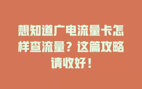 想知道广电流量卡怎样查流量？这篇攻略请收好！