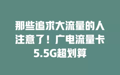 那些追求大流量的人注意了！广电流量卡5.5G超划算