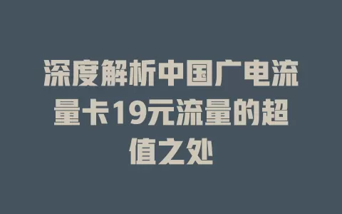 深度解析中国广电流量卡19元流量的超值之处