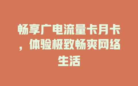 畅享广电流量卡月卡，体验极致畅爽网络生活