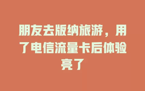 朋友去版纳旅游，用了电信流量卡后体验亮了