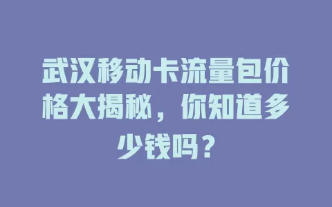 武汉移动卡流量包价格大揭秘，你知道多少钱吗？