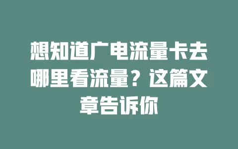 想知道广电流量卡去哪里看流量？这篇文章告诉你