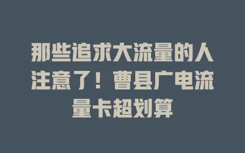 那些追求大流量的人注意了！曹县广电流量卡超划算
