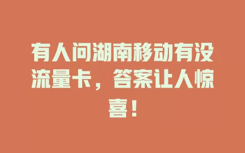 有人问湖南移动有没流量卡，答案让人惊喜！