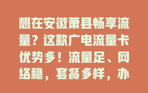 想在安徽萧县畅享流量？这款广电流量卡优势多！流量足、网络稳，套餐多样，办理简便，速来开启精彩网络生活