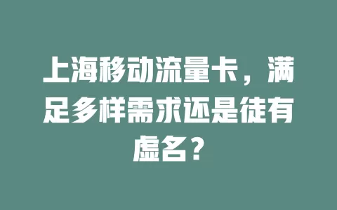 上海移动流量卡，满足多样需求还是徒有虚名？