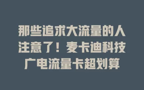 那些追求大流量的人注意了！麦卡迪科技广电流量卡超划算