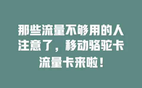 那些流量不够用的人注意了，移动骆驼卡流量卡来啦！