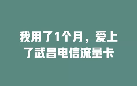 我用了1个月，爱上了武昌电信流量卡