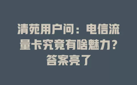 清苑用户问：电信流量卡究竟有啥魅力？答案亮了