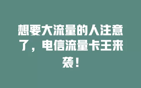 想要大流量的人注意了，电信流量卡王来袭！
