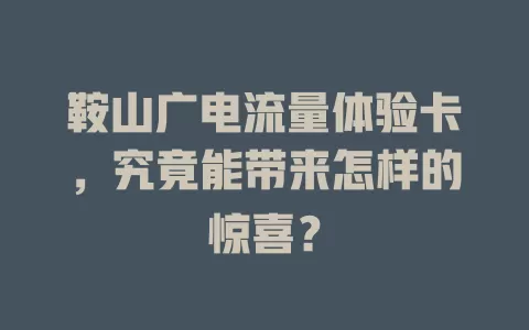 鞍山广电流量体验卡，究竟能带来怎样的惊喜？